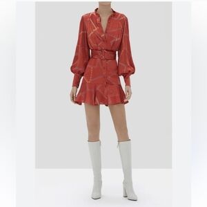 GORGEOUS ALEXIS MINI DRESS SIZE SM